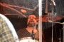 Thumbs/tn_Roved in The Box 006.jpg